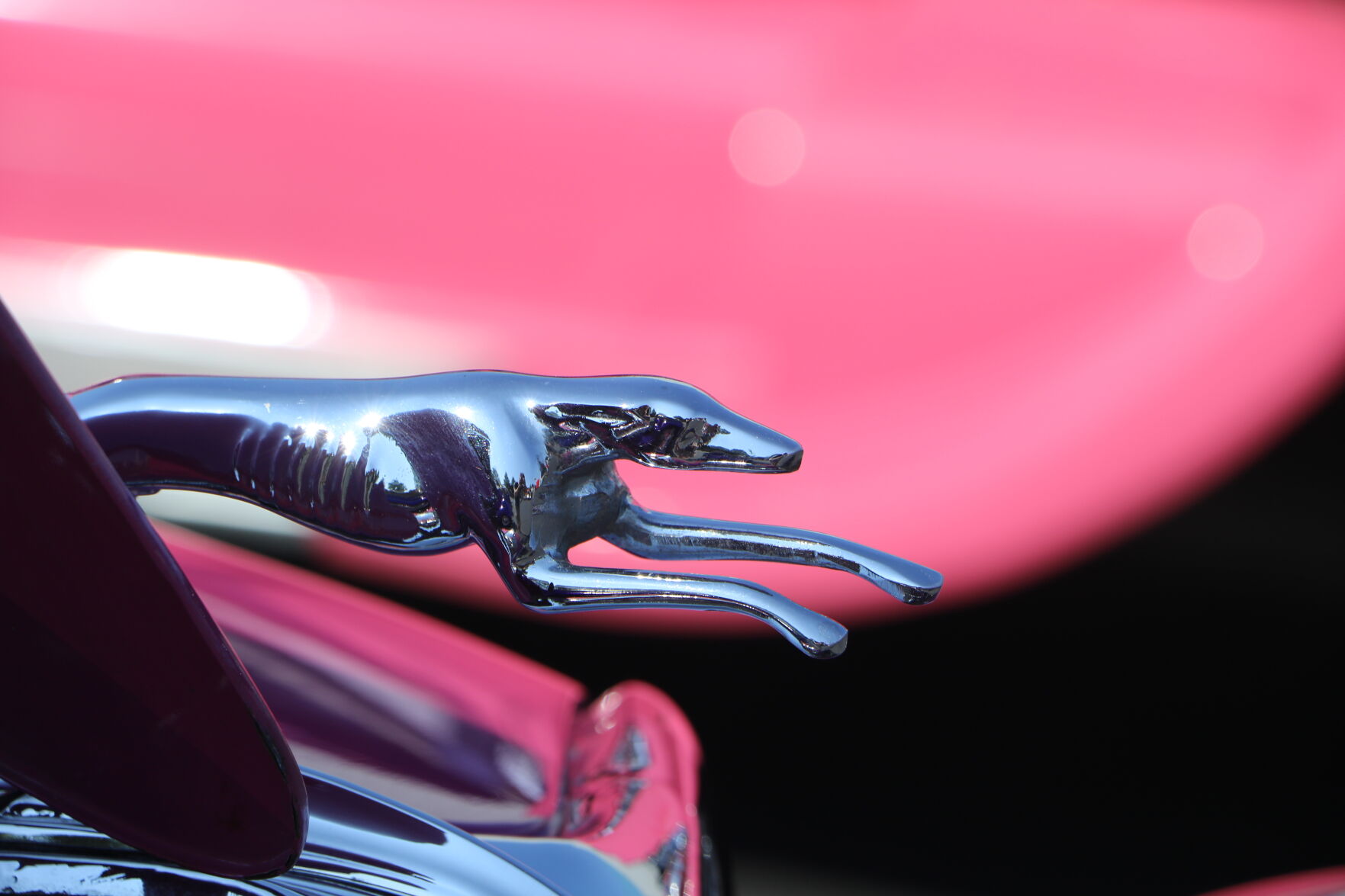 Car show